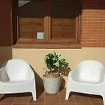 Olivar De Castilla - Sun&colors