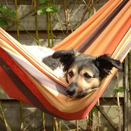 Olivar De Castilla - Sun&colors Holiday home *