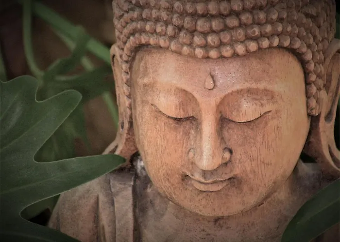 度假居 Olivar De Castilla - Sun&colors 塞哥维亚