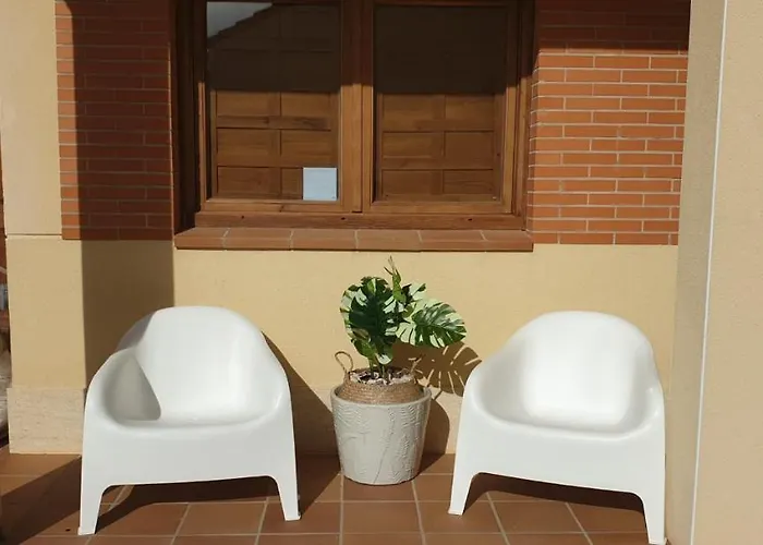 Olivar De Castilla - Sun&colors