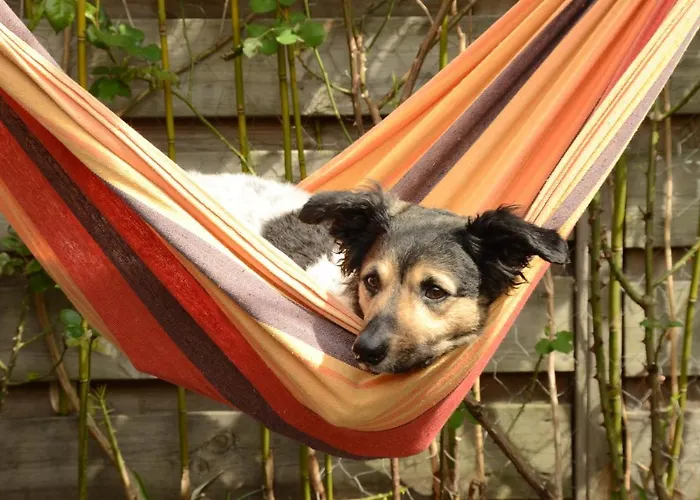 Olivar De Castilla - Sun&colors Holiday home *