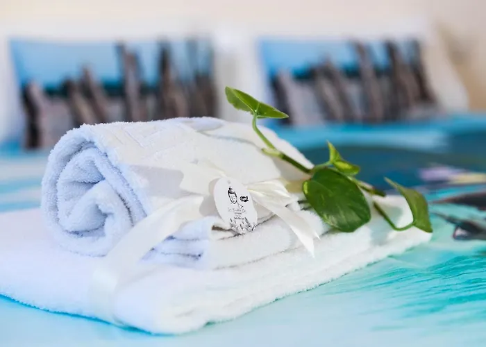 Olivar De Castilla - Sun&colors 塞哥维亚