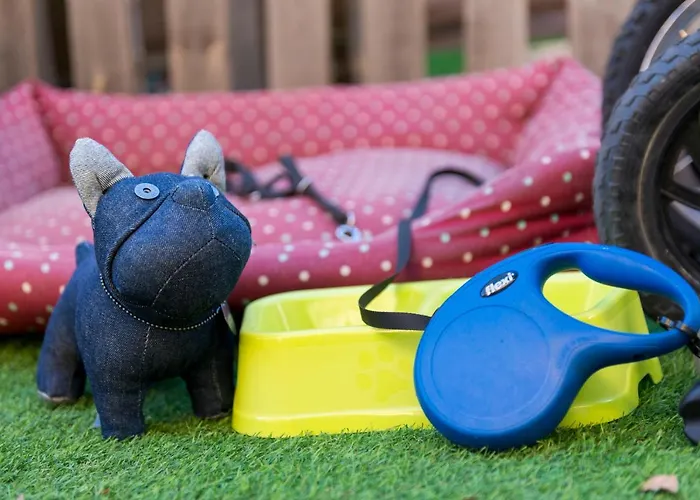 Casa de Férias Olivar De Castilla - Sun&colors Segóvia